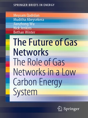 cover image of The Future of Gas Networks